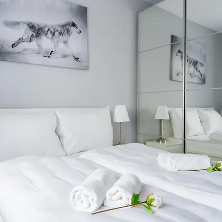 Appartamento Apartament Na Wzgorzu 4 Sauny, Ebike, Las, Widok - 5d