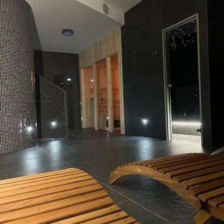 Apartament Na Wzgorzu 4 Sauny, Ebike, Las, Widok - 5d * Swieradow-Zdroj